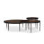 Yoko Glass Nesting Coffee Table