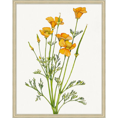 Golden Poppy 1 Wall Art & Signage by Lillian August