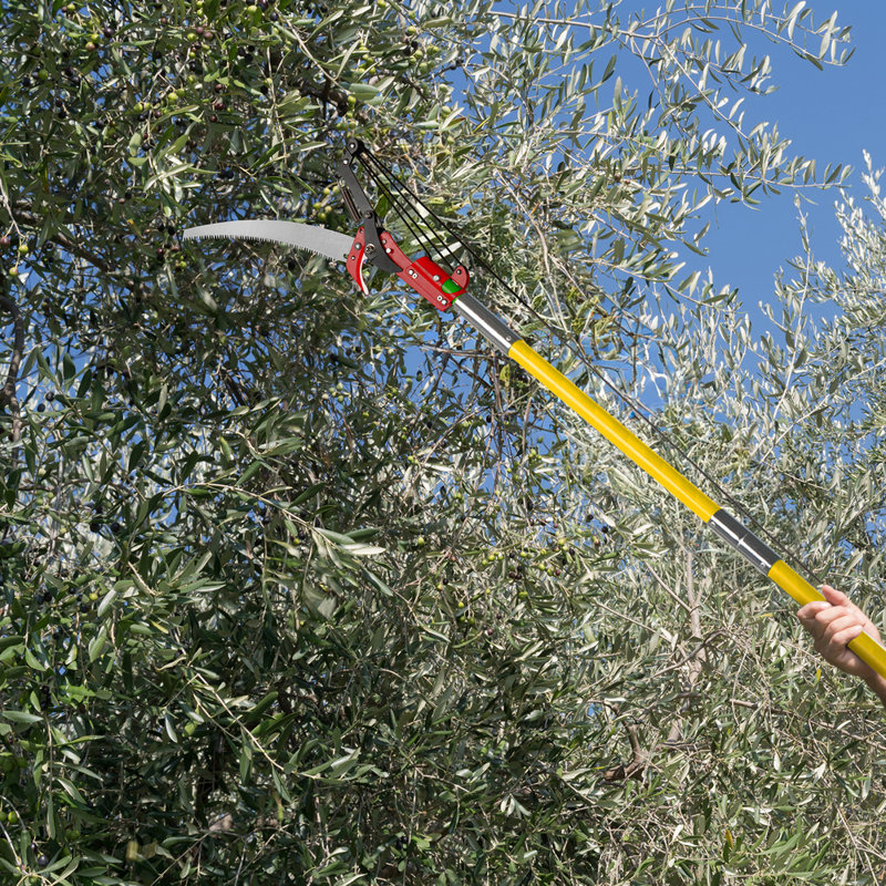 30ft Adjustable Manual Pole Saw Set: Lightweight Fiberglass Tree Trimmer With Sharp Blades