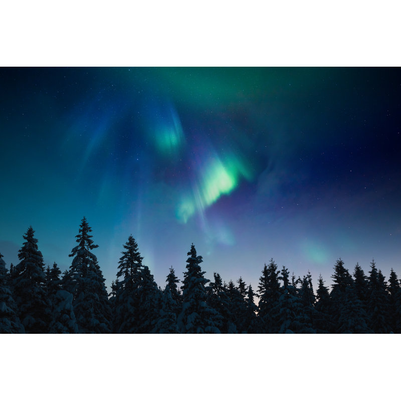 Northern Lights Above The Forest by Borchee - Wrapped Canvas Print, 30cm H x 46cm W x 3.8cm D