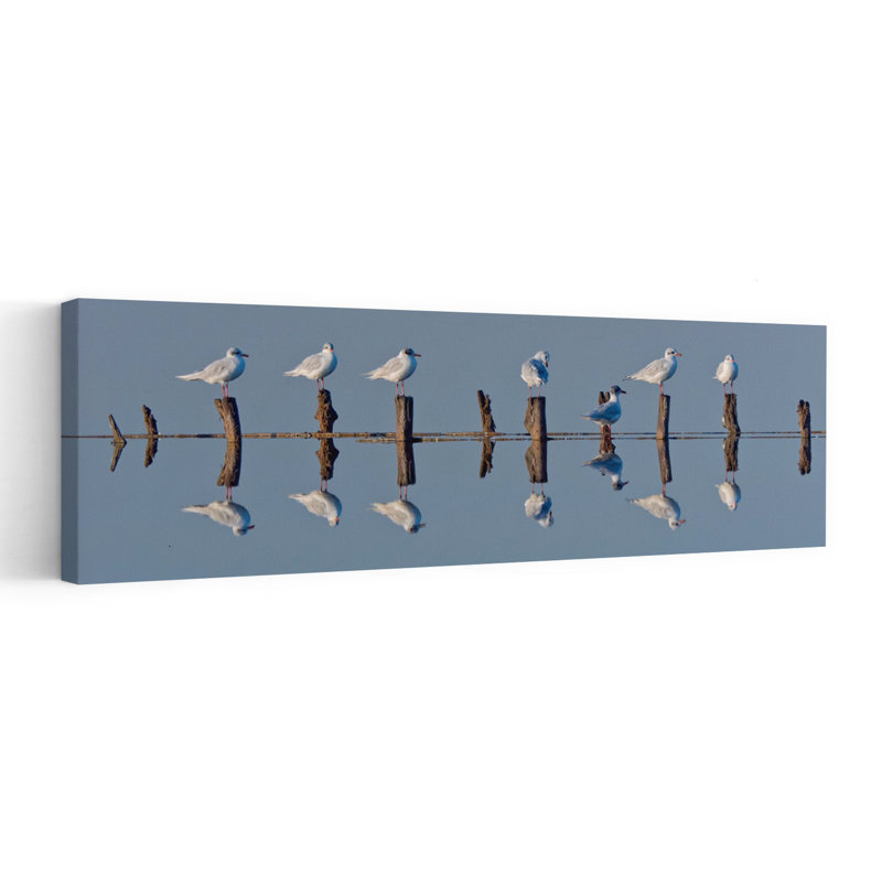 «Peaceful Gulls on Posts Peaceful Serene Tranquil Bird Nature Wildlife», art mural, H 12 po x l 36 po