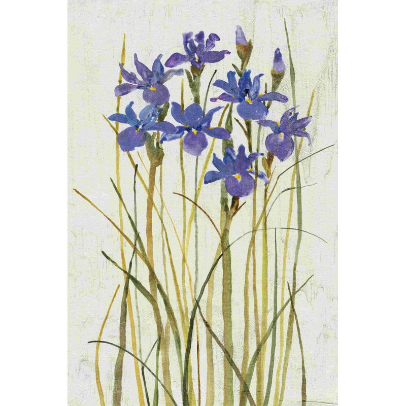 " Iris Patch II " by Timothy O' Toole Painting Print, 12" H x 8" W  