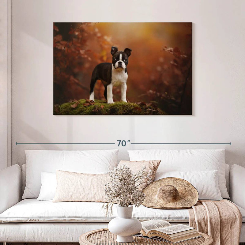 Bébé terrier de Boston, H 30 po x l 45 po