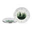 Forest Trees Dinner Plate