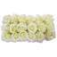 Arrangement floral de roses en pot-22592489