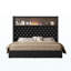 Cadre de lit doux en velours pour grand lit avec port USB et veilleuse, tête de lit de 52 po de hauteur avec décoration rivetée, lit plateforme à oreilles avec tablette de tête de lit, noir-1721978706-1721978710