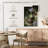 Inner Tranquility-835009574-835009578