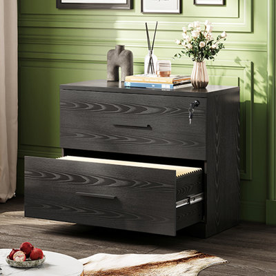 2-Drawer Wood Lateral File Cabinet With Lock For Home Office by Inbox Zero