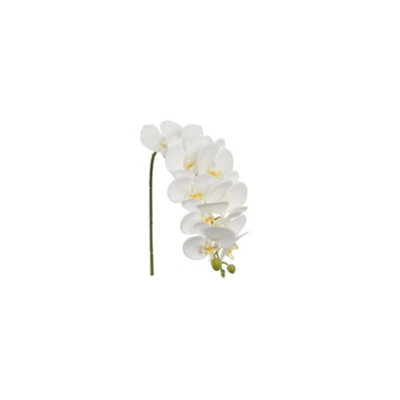 Arrangement d'orchidées