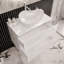 Bathroom Vanity with Basin