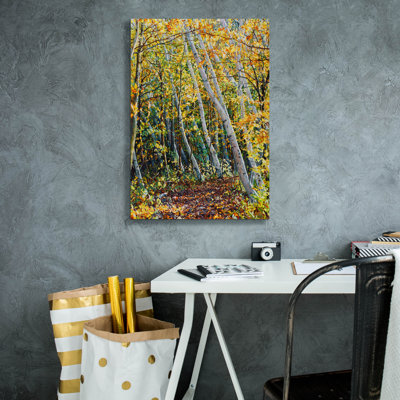 " Birch Path " by Joanne Towers