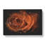 Orange Rose - Wrapped Canvas-56648471