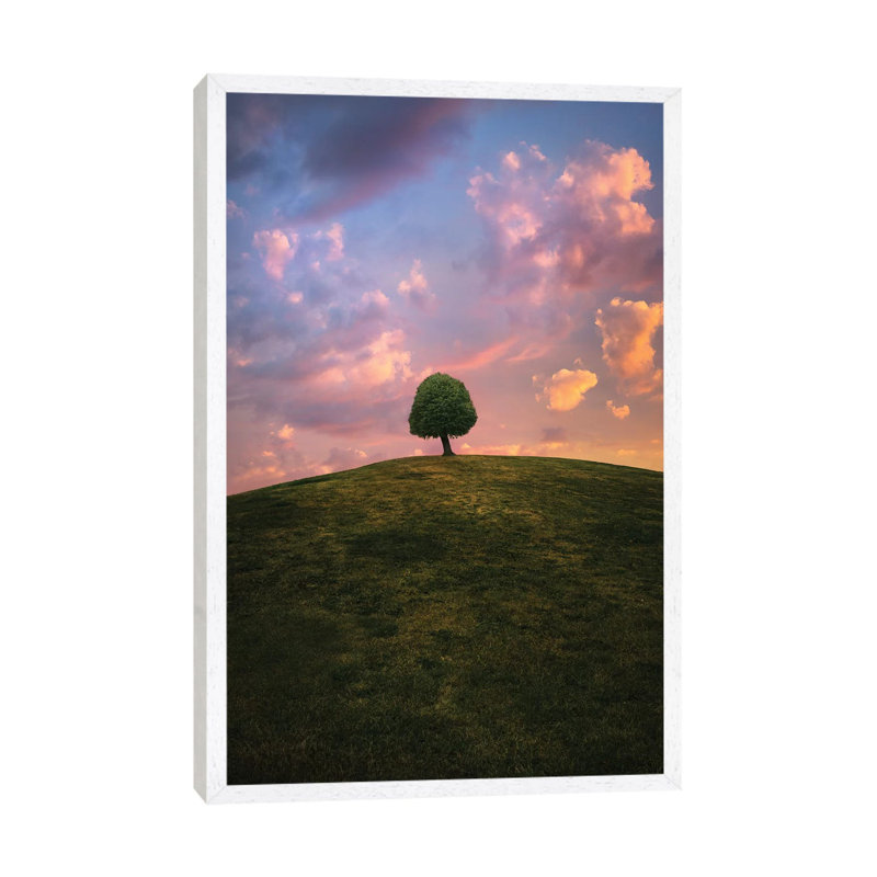 Tree On Hill During Sunset by Christian Lindsten - Print on Canvas, 101.6cm H x 20.32cm W x 3.81cm D, White Framed Canvas