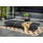 Cosmopolitan Lounger