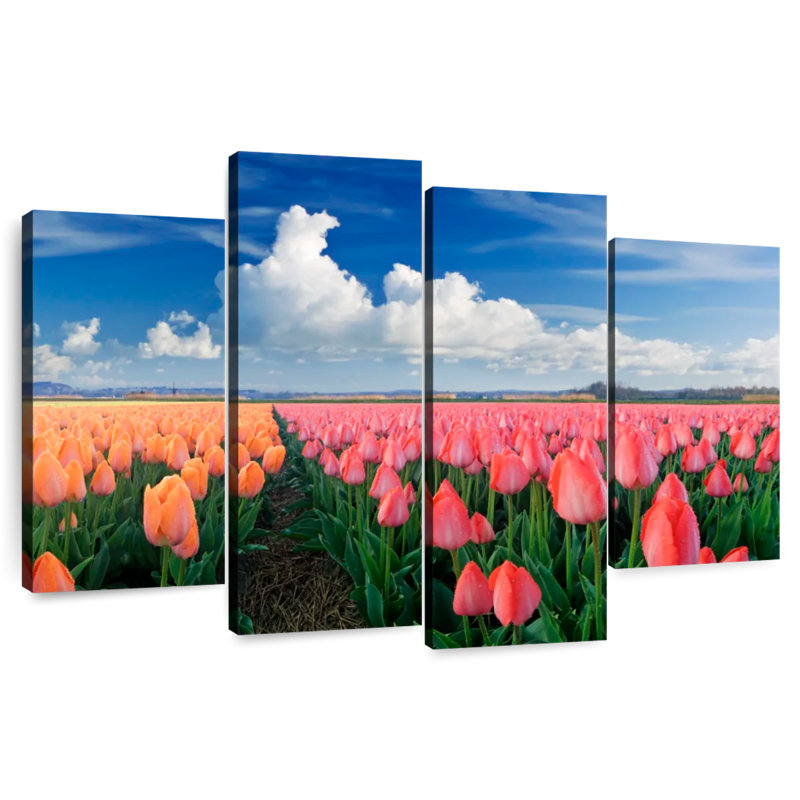 Tulipes roses et orange Alvord