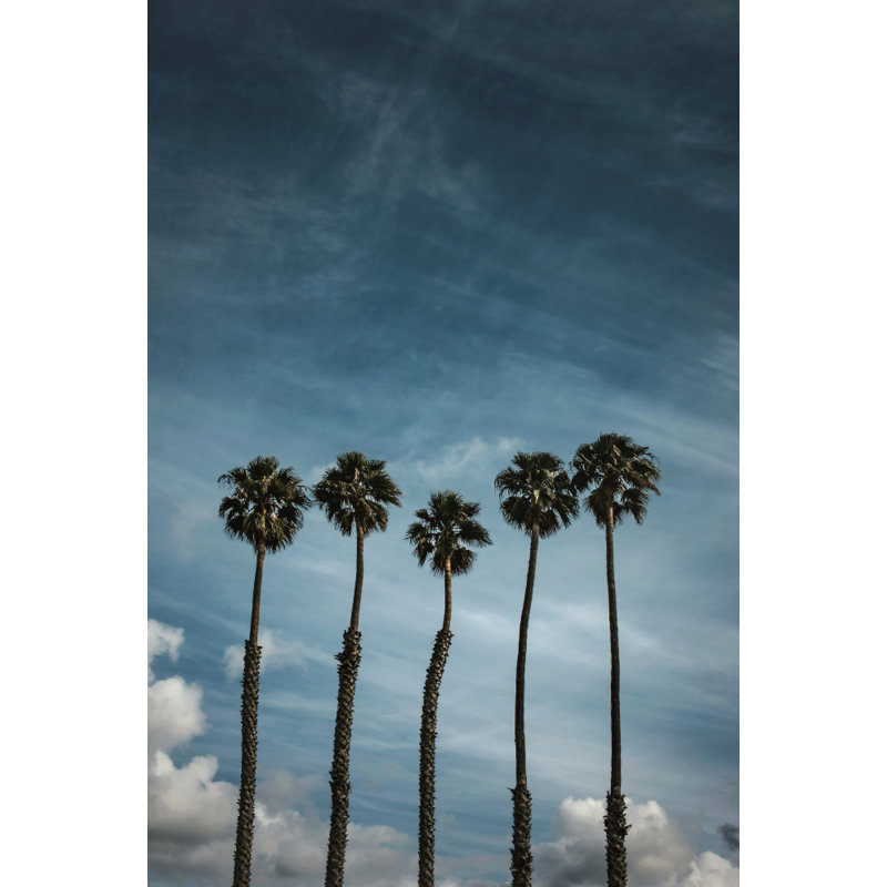 Wrapped Canvas Print, 50.8cm H x 76.2cm W