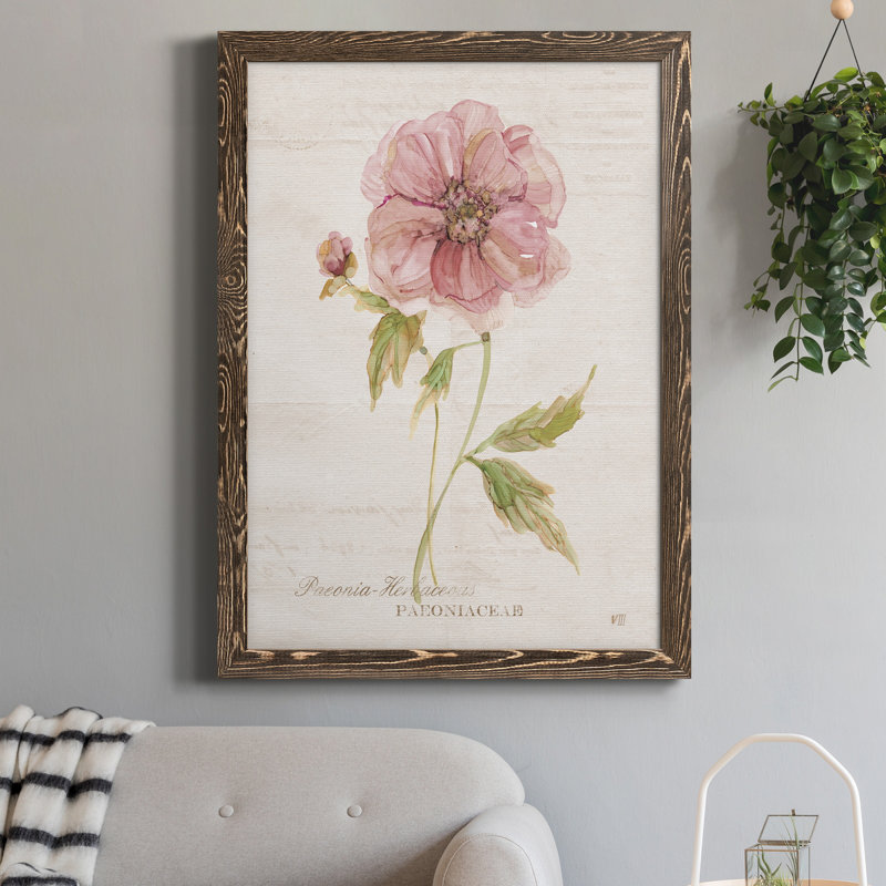 Soft Peony - peinture sur toile encadrée, H 20 po x l 17 po x P 1,5 po, Noyer