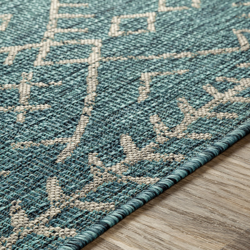 Hongming Oriental Indoor / Outdoor Rug, Rectangle 2' x 3'
