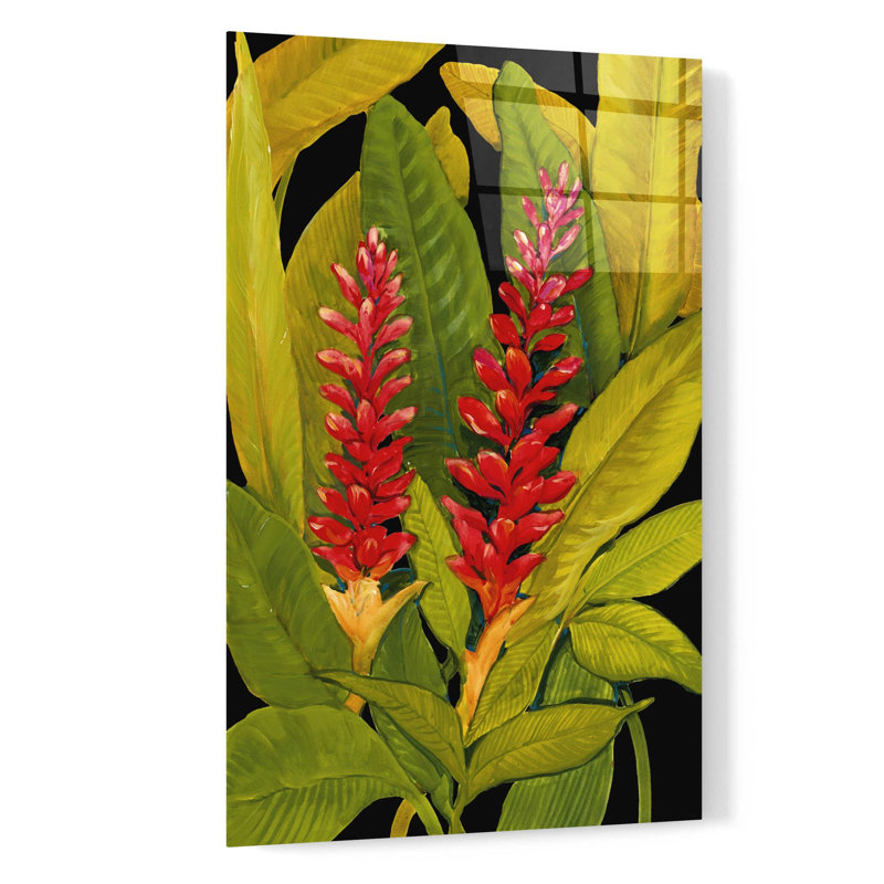 'Dramatic Red Ginger' by Tim O'Toole, Acrylic Glass Wall Art, 24" H x 16" W x 0.2" D