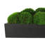 Nature's Nostalgia Moss Plant in Fiberstone Planter-1824800356-1824800363