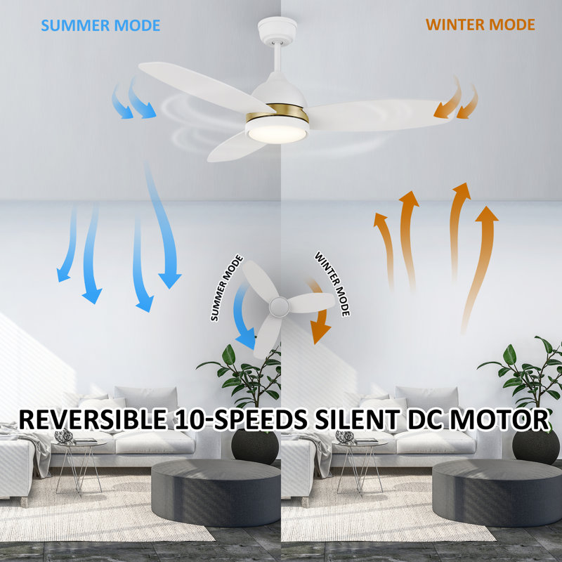 Ventilateur de plafond 48 "à DEL à 3 pales avec télécommande et ensemble d'éclairage inclus Eleanar