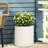 MGO PLANTER