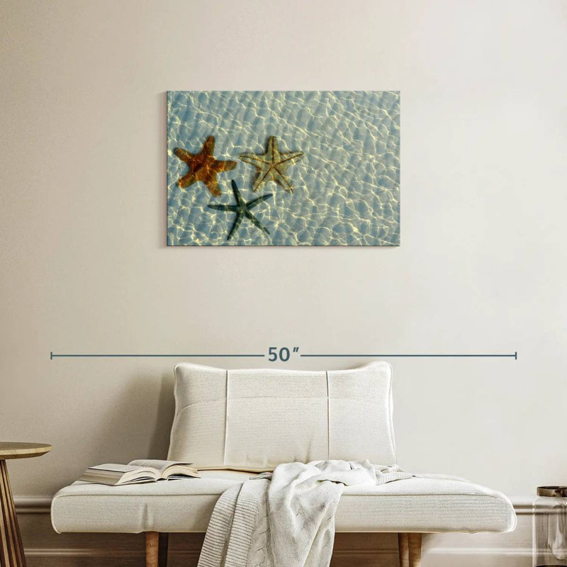 Trio d'étoiles de mer Brampt, H 20 po x l 30 po