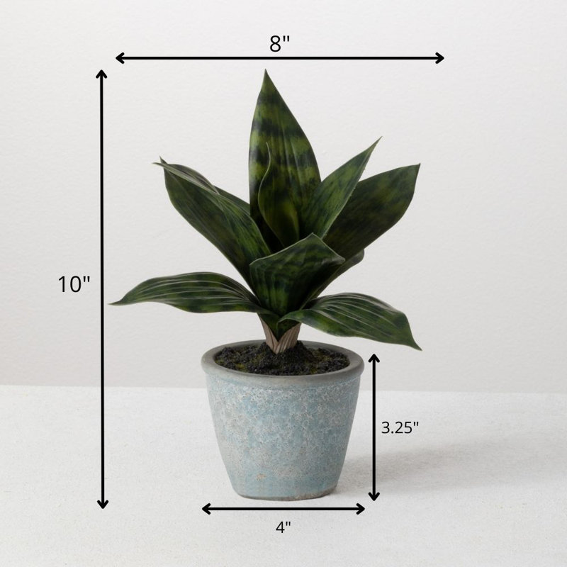 Plante artificielle en pot 6 "Sansevieria