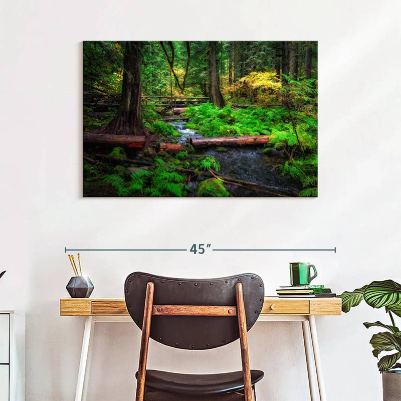 Ruisseau Alvord Willamette National Forest, H 26 po x l 39 po