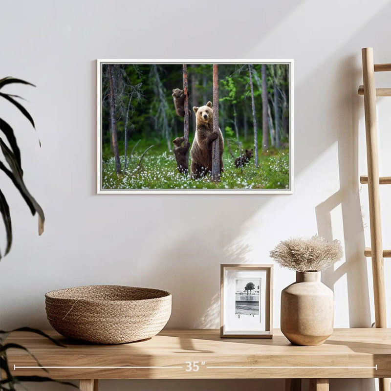 Ours dans la forêt, Cadre flottant blanc, 19 po x 13 po