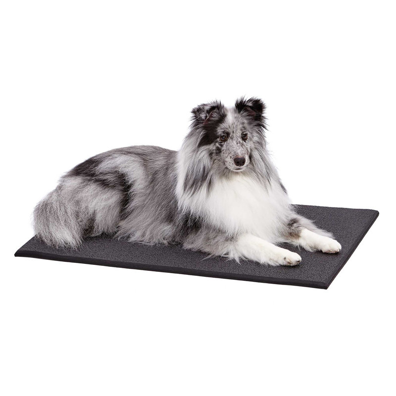 Tapis de caisse pour chien Quiet Time, Moyen (H 0,5 po x l 35,25 po x P 22 po)