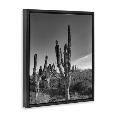 Cadre flottant Cactus Field & Vast Sky, design par Norm Stelfox