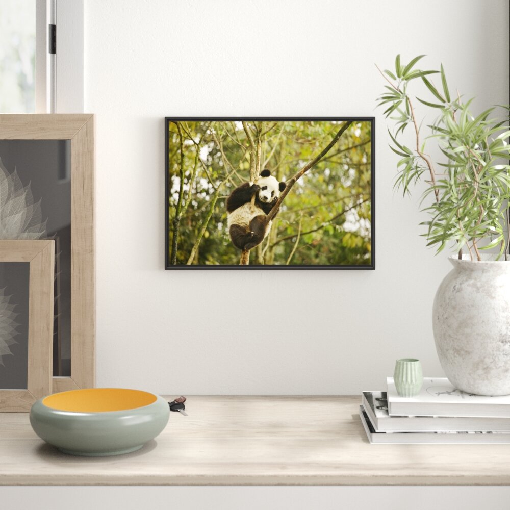 Gerahmtes Wandbild niedlicher Pandabär auf Baum