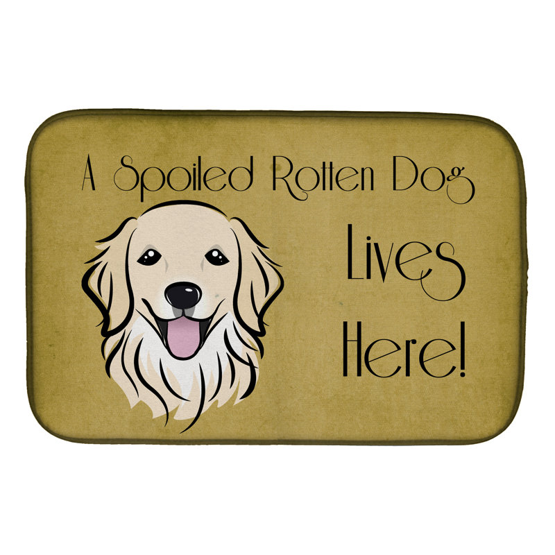 Tapis de séchage pour chien récupéré live