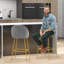 Dhital Counter Stool with Metal Frame