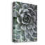 Zen Succulent III - reproduction de photo sur toile tendue-1318627429