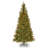 Aspen Spruce Tree with Clear Lights-1896640432