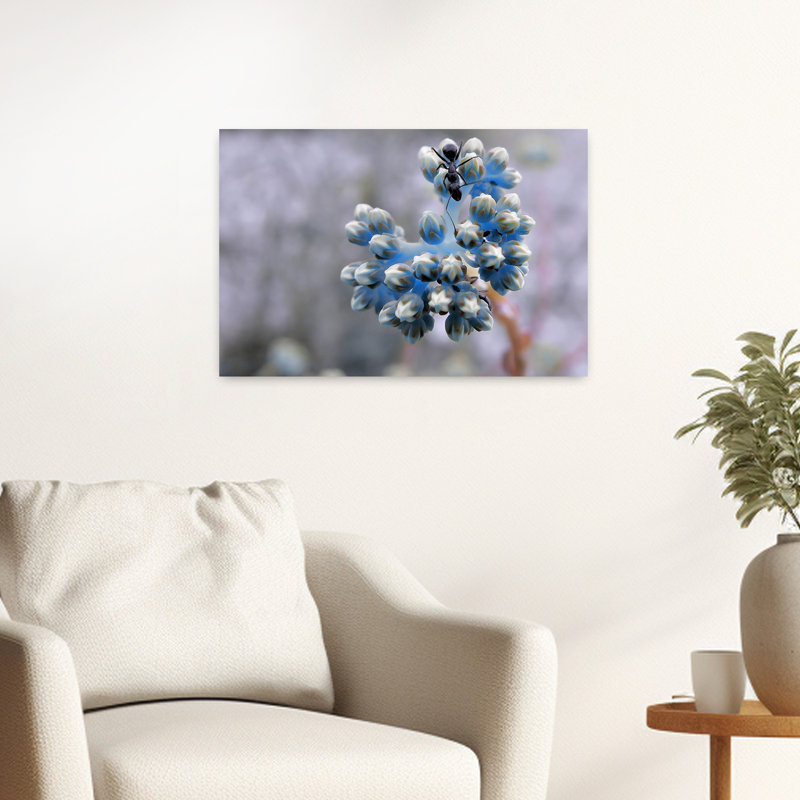Ant On Blue Buds Delicate Ant Flower Nature Wall Art Print by Thierry Dufour - Print, 40.64cm H x 60.96cm W
