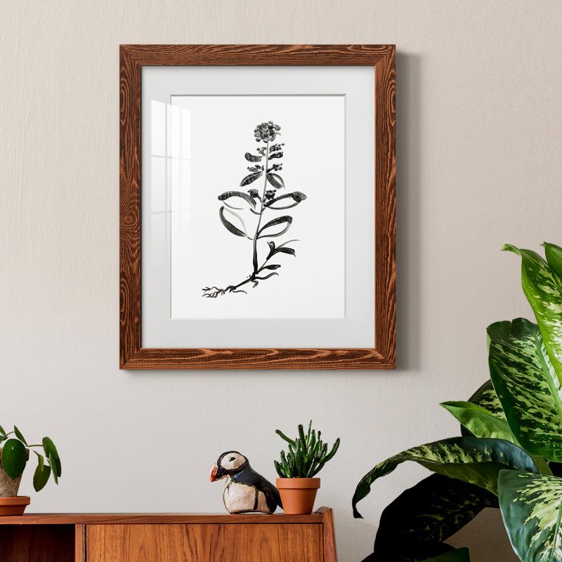 Inky Botanical III - peinture encadrée, H 24 po x l 18 po x P 1,5 po, Érable