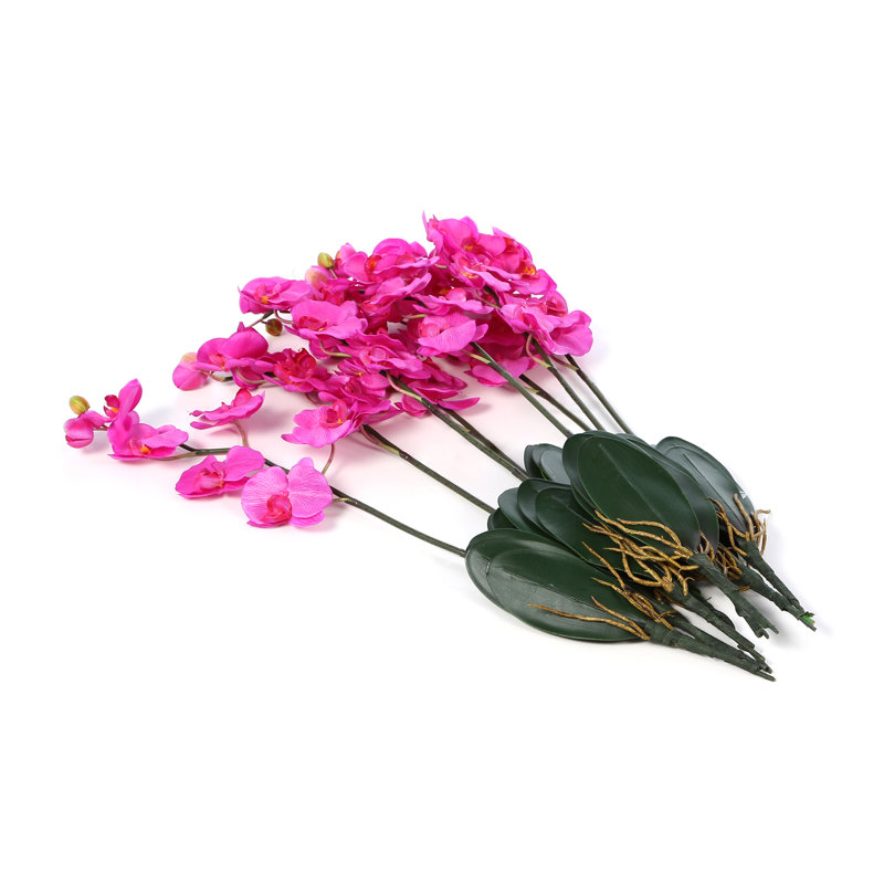 Orchid Arrangement
