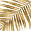 « palm close up i », impression sur toile dorée-29174302-72792673-72792668