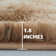 Charvik Indoor Shaggy Area Rug