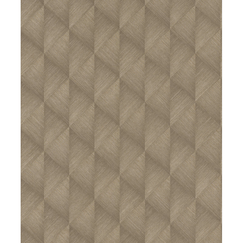 Rouleau de papier peint L 33 pi x l 20,9 po Aniisa, Brun