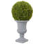Topiaire buis artificiel 14" en urn