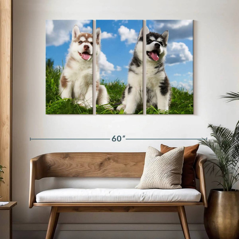 Husky Babies, H 32 po x l 50 po