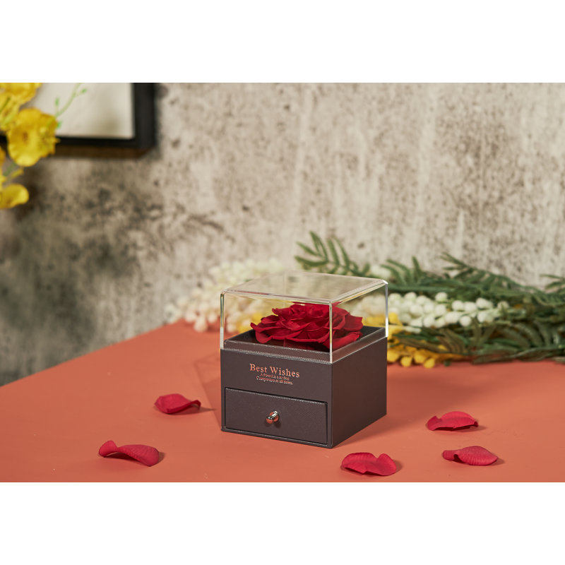 Acrylic Jewellery Box + Drawers