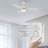 Ekamjeet 48'' Ceiling Fan with LED Lights