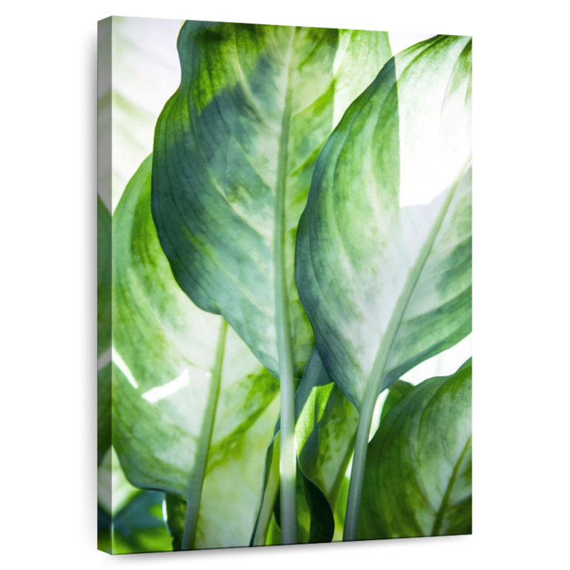 Harnek Tropic Abstract, 12" H x 8" W