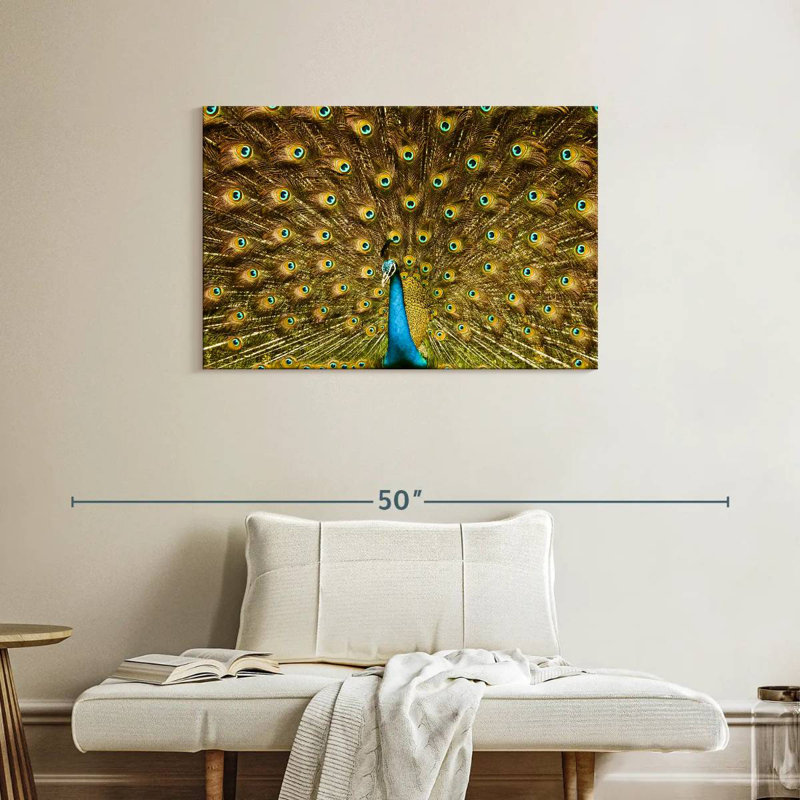 Crowle Peacock Feather, 24" H x 36" W