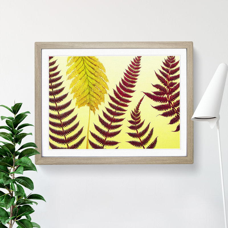 Fern Leaves - Single Picture Frame Print, 34cm H x 46cm W x 2cm D, Oak